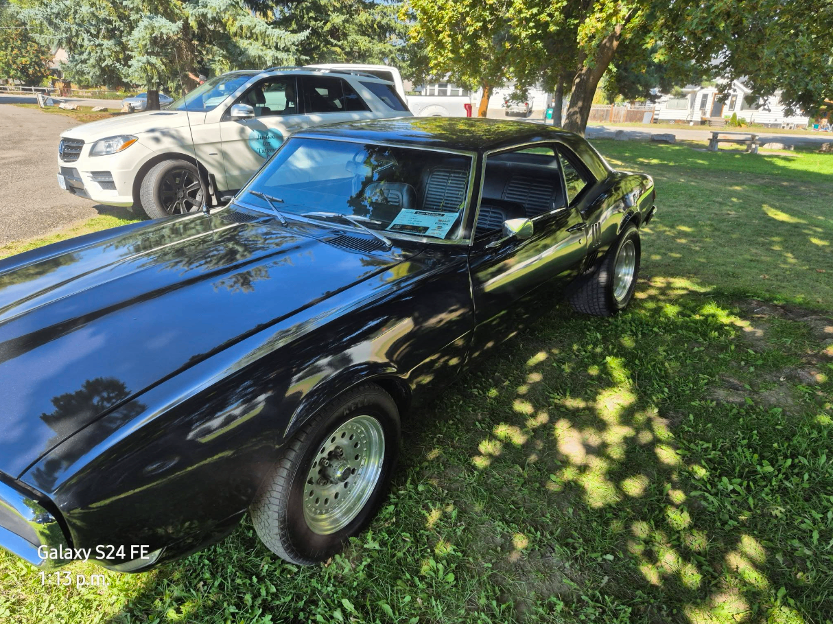 Polished black classic car parked on grass